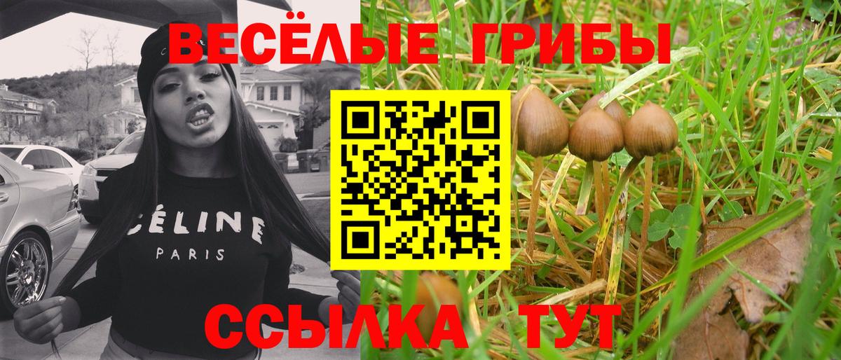 Галлюциногенные грибы мухоморы  Вход с VPN  купить наркоту  Курганинск  Галлюциногенные грибы ЛСД 